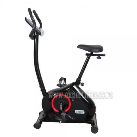 Вicicleta Electromagnetica EcoFit E506BP