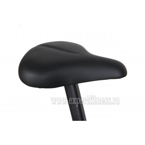 Вicicleta Magnetica EcoFit E510B