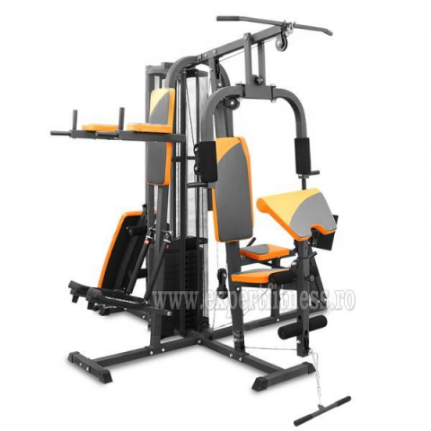 Aparat multifunctional semiprofesional FitTronic HG1000 cu 5 posturi de lucru