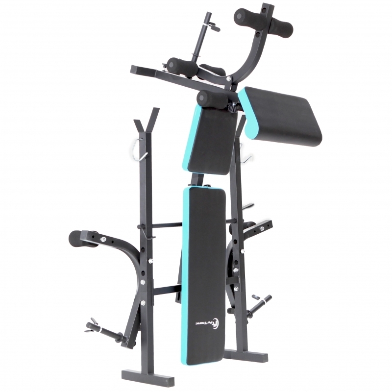 Banca de exercitii multifunctionala FitTronic Atletic B550, pliabila, banca scott inclusa, suport haltera, greutate maxima suportata 120 kg