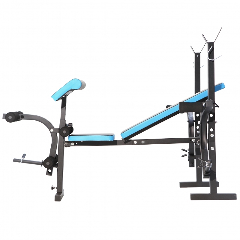 Banca de exercitii multifunctionala FitTronic Atletic B550, pliabila, banca scott inclusa, suport haltera, greutate maxima suportata 120 kg