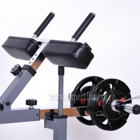 Banca forta inSPORTline CLF10