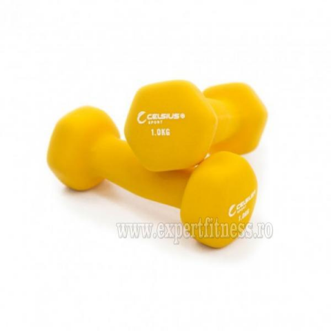 Banda  alergare Sportmann Abarq BZ-42.M