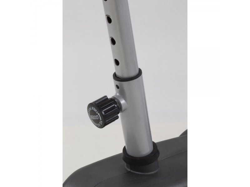 Bicicleta de exercitii TOORX BRX-FLEXI