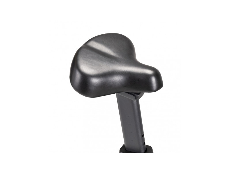 Bicicleta fitness INSPORTline DELAVAN UB