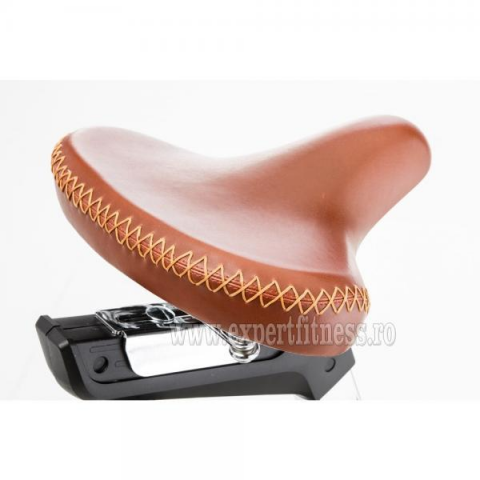 Bicicleta GOLF M COMFORT