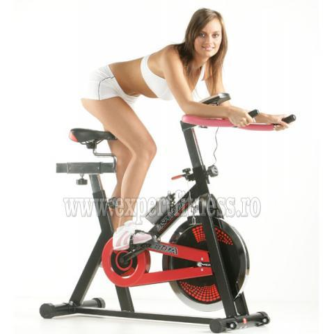 Bicicleta indoor cycling inSPORTline Delta 