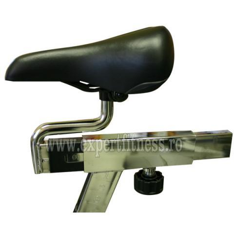 Bicicleta indoor cycling inSPORTline Gamma 