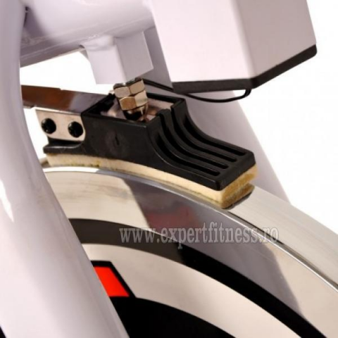 Bicicleta indoor cycling inSPORTline Jota argintiu