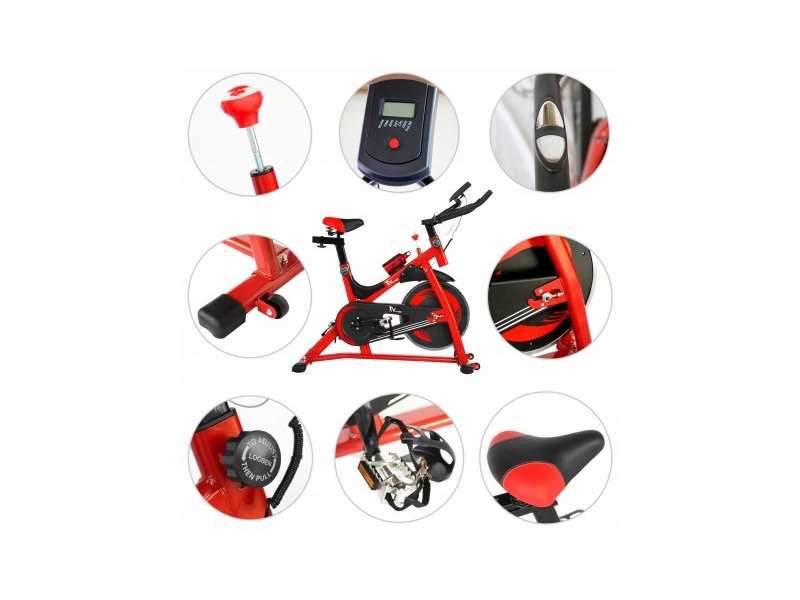 Bicicleta indoor cycling  SPORTMAN F37C