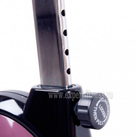 Bicicleta magnetica inSPORTline Klegan