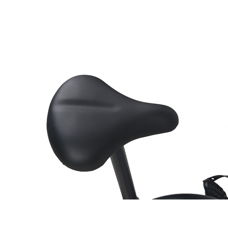 Bicicleta magnetica SPORTMANN Elinof, negru-rosu