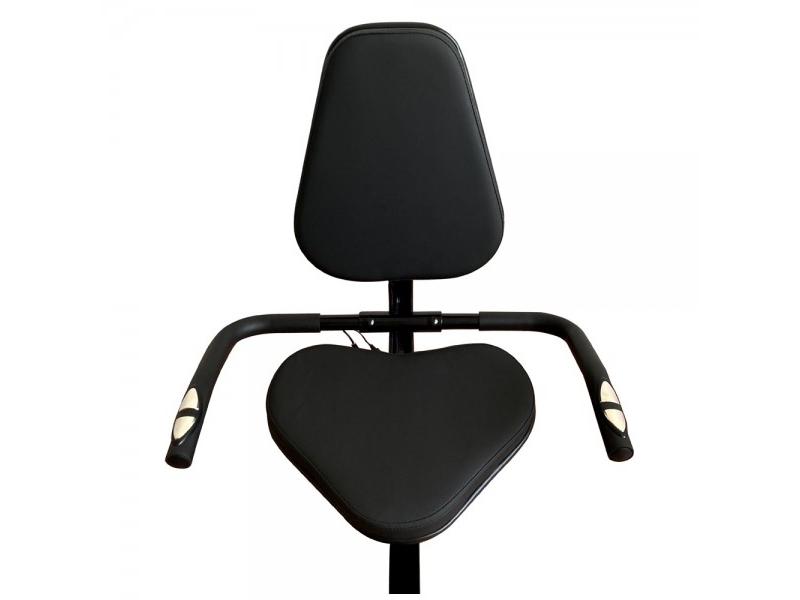 Bicicleta orizontala TECHFIT R310