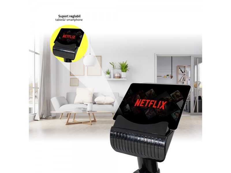 Bicicleta orizontala TECHFIT R350