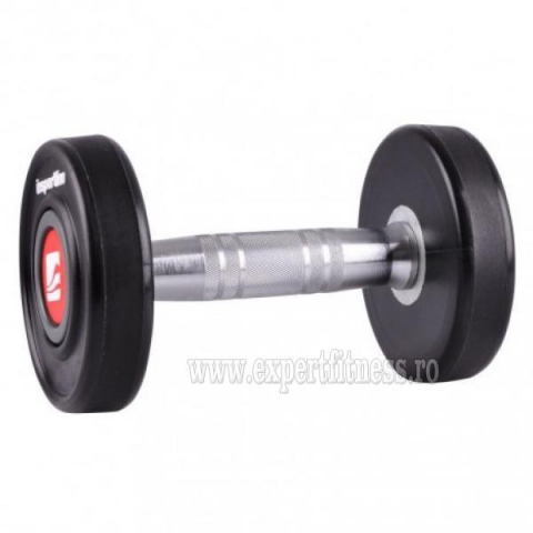 Gantera inSPORTline Profi 22 kg