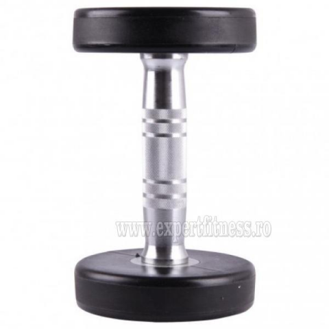 Gantera inSPORTline Profi 24 kg