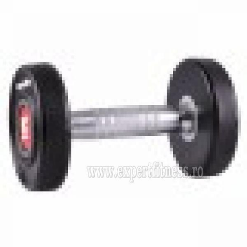 Gantera inSPORTline Profi 24 kg
