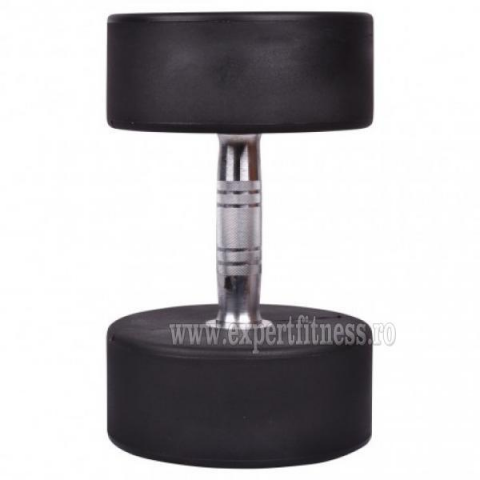 Gantera inSPORTline Profi 32 kg