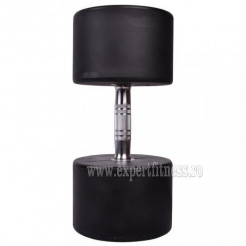 Gantera inSPORTline Profi 48 kg