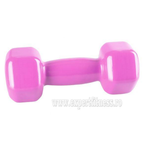  Gantera Vinil Power System 2 Kg