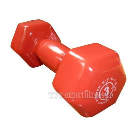 Gantera Vinil Power System 3 Kg
