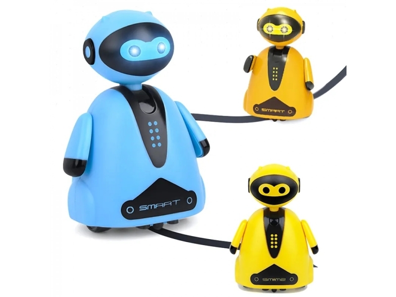 Robot interactiv AliBibi