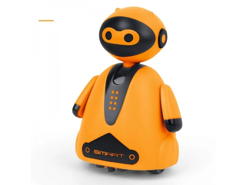 Robot interactiv AliBibi