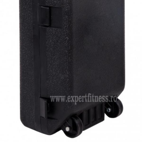 Set gantere inSPORTline 50 kg