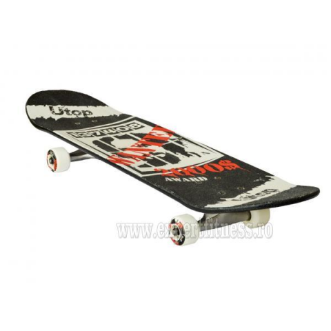 Skateboard ARTIST Sportmann