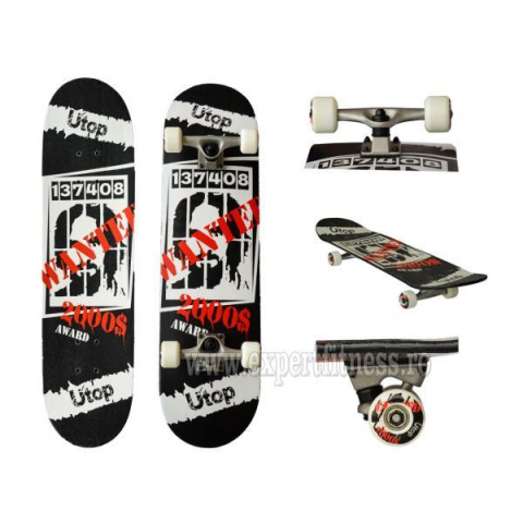 Skateboard ARTIST Sportmann